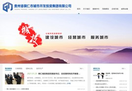 册亨城市开发投资集团有限公司